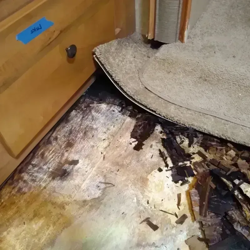 Wood Floor Water Damage in Independence County, AR